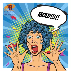 Financing Available
716 Clean Up Restoration is a veteran-owned and community-focused water damage restoration, mold restoration, fire damage restoration, and junk removal company.

We offer a variety of payment options to suit your needs, and we’re dedicated to providing the highest level of customer service.

We believe that everyone deserves access to quality restoration services, and we’re proud to be able to offer financing options to make that possible.

If you’re dealing with water damage
