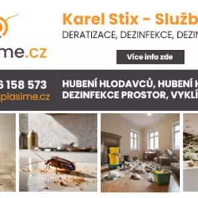 Bild von Karel Stix - Služby DDD