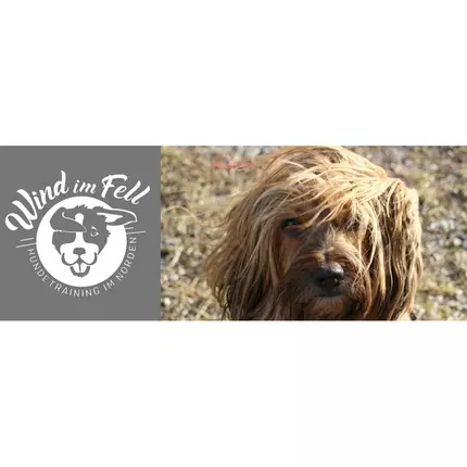 Logo de Wind im Fell Hundetraining im Norden