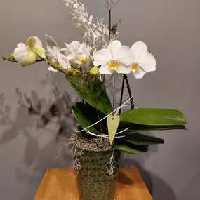 Bild von Blumenhaus Wilco