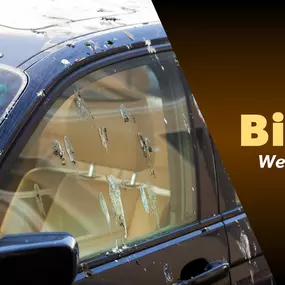 The Bug Master - Bird Control