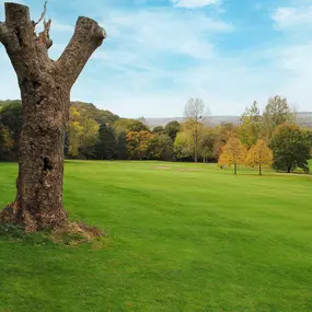Beauchief Golf Course, nestled in the rolling hills of Sheffield, features lush fairways, mature trees, and scenic views of the surrounding countryside. This picturesque parkland course offers a charming and challenging layout ideal for golfers of all levels.
