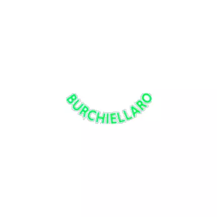 Logo from Burchiellaro Srl