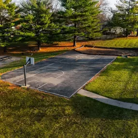 Basketball Court