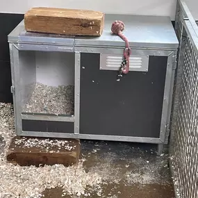 Bild von Quailhollow Kennels LTD