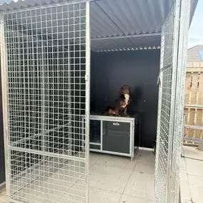 Bild von Quailhollow Kennels LTD