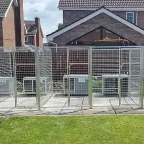 Bild von Quailhollow Kennels LTD