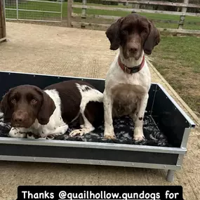 Bild von Quailhollow Kennels LTD