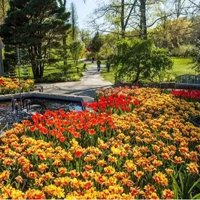 fountain flowers