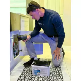 Bild von Maximum Pest Control