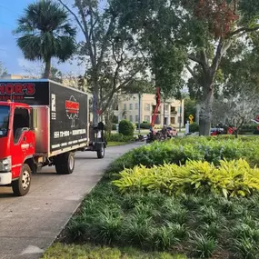 Bushor’s Tree Surgeons on-site for residential tree maintenance in Jacksonville.