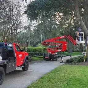 Bushor’s Tree Surgeons setting up for a residential tree removal in St. Johns County.