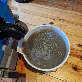 Bild von Absolutely Floorless