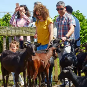 familia-visita-queseria-asturiana-los-caserinos-300x300.jpg