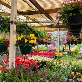 Bild von Cavacini Landscaping & Garden Center