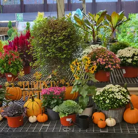 Bild von Cavacini Landscaping & Garden Center