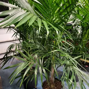 Bild von Cavacini Landscaping & Garden Center