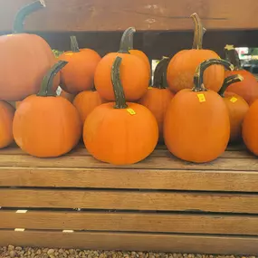 Bild von Cavacini Landscaping & Garden Center