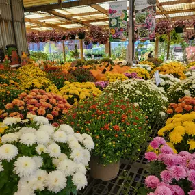 Bild von Cavacini Landscaping & Garden Center