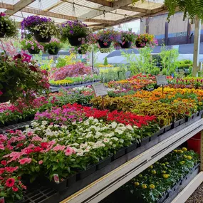 Bild von Cavacini Landscaping & Garden Center