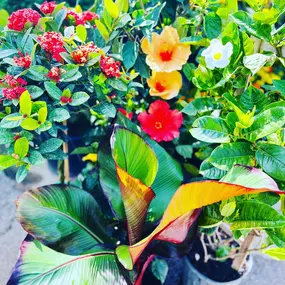 Bild von Cavacini Landscaping & Garden Center