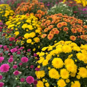 Bild von Cavacini Landscaping & Garden Center