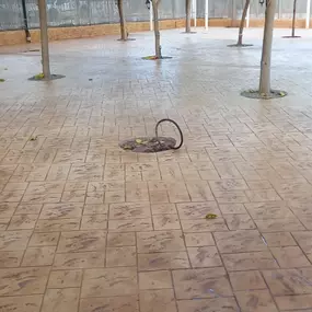 PavimentoImpreso3.jpeg