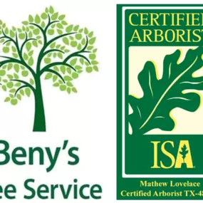 ISA Certified Arborist