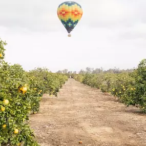 Bild von Arrive Temecula
