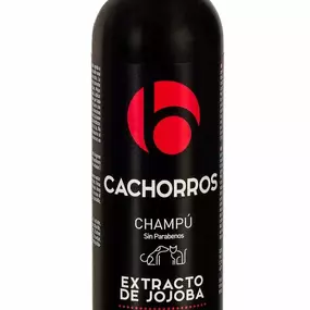 Bild von Ausstattung für Hunde - Erstausstattung für Welpen