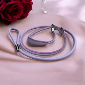 Bild von Ausstattung für Hunde - Erstausstattung für Welpen