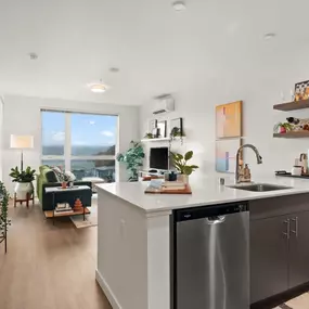 Kitchen & Living Room
