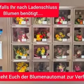 Bild von Blumen Gerarts