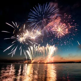 Bild von Fantazia Fireworks Ltd