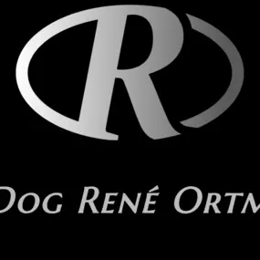 Bild von Top Dog Training René Ortmann