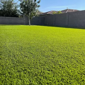 A spacious artificial turf installation, creating a lush, green lawn with no watering, mowing, or maintenance required. Perfect for residential and commercial properties looking for a year-round pristine landscape.