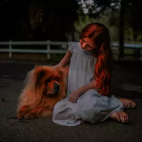 Bild von Il Fido Custode - Cimitero e Cremazione Animali Milano