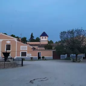 202812996-1-pQ0rgirkHg1747311977458.jpeg
