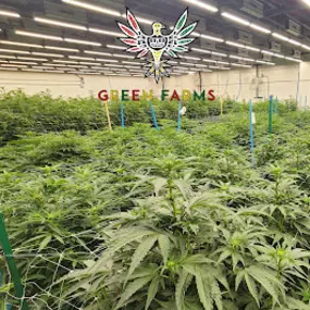Bild von Green Farms Recreational + Medical Dispensary