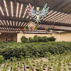 Bild von Green Farms Recreational + Medical Dispensary