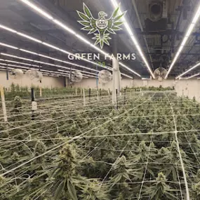 Bild von Green Farms Recreational + Medical Dispensary
