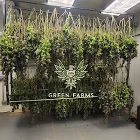 Bild von Green Farms Recreational + Medical Dispensary
