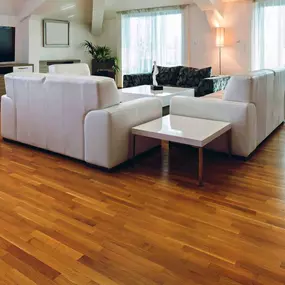 Bild von Timberlake Designs