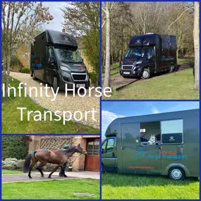 Bild von Infinity Horse Transport Warwickshire