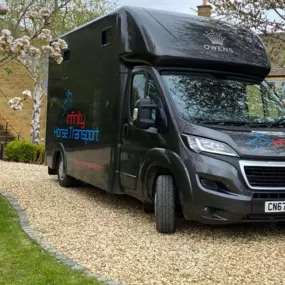 Bild von Infinity Horse Transport Warwickshire