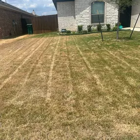 Residential Mowing Property