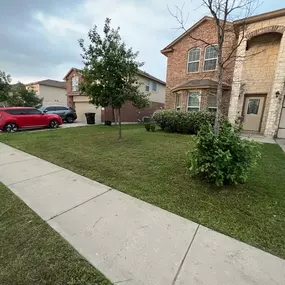 Real Estate Lawn in Killeen Serviced by Mow X