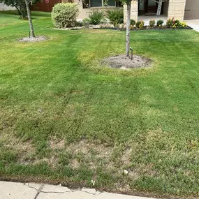 Residential Mowing Property