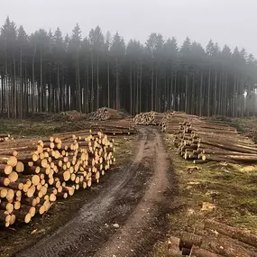 Schnaitmann Holz GmbH, Krispl