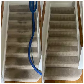 Bild von Carpet Cleaning Pros